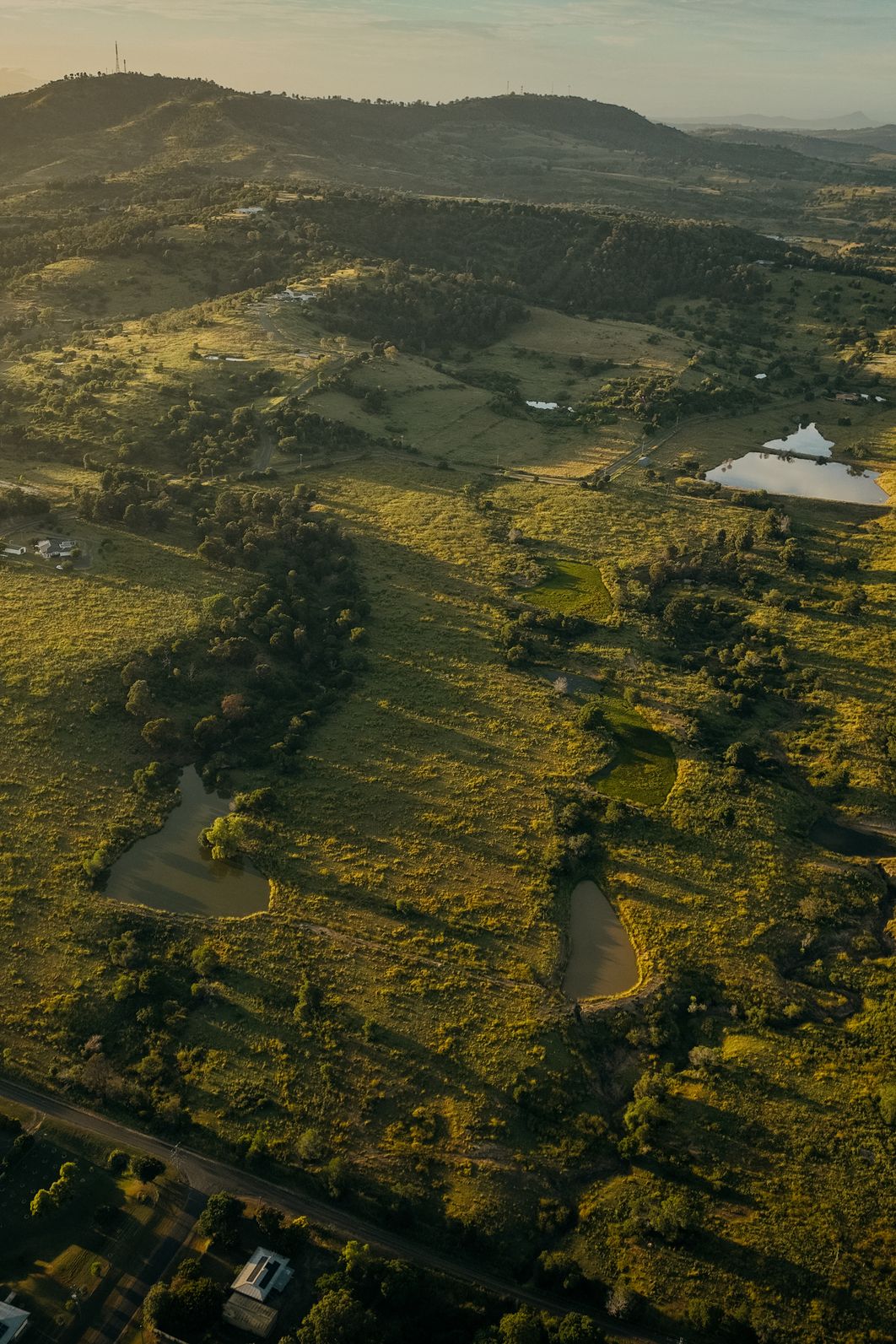 dji_0881